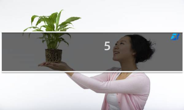 5 种你在不知不觉中破坏身体的方式