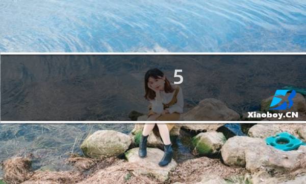 5 种超级食物种子的健康益处