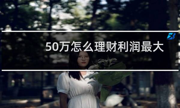 50万怎么理财利润最大