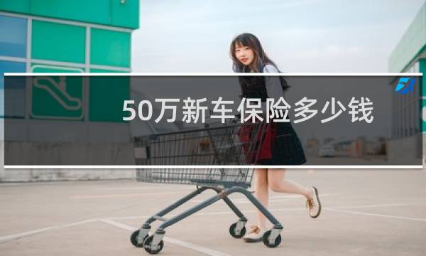 50万新车保险多少钱