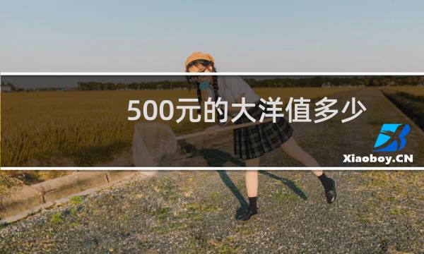 500元的大洋值多少
