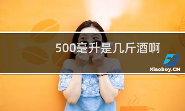 500毫升是几斤酒啊