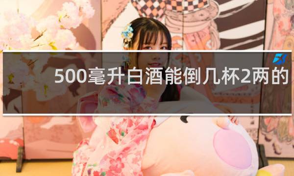 500毫升白酒能倒几杯2两的
