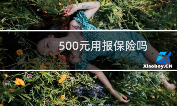 500元用报保险吗图片