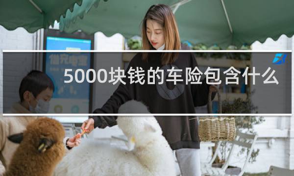 5000块钱的车险包含什么