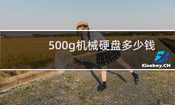 500g机械硬盘多少钱