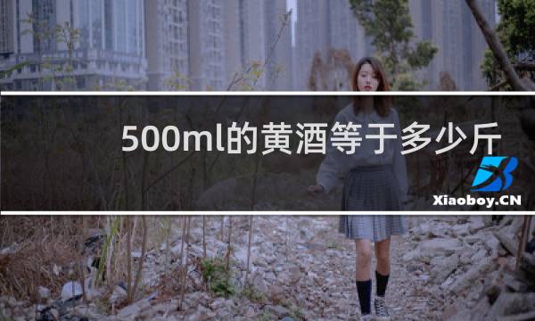 500ml的黄酒等于多少斤