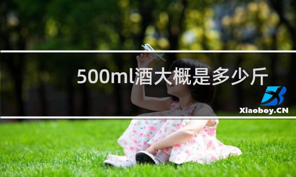 500ml酒大概是多少斤