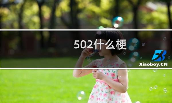 502什么梗