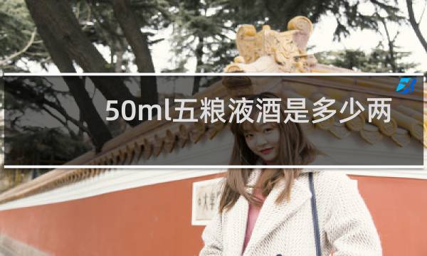 50ml五粮液酒是多少两