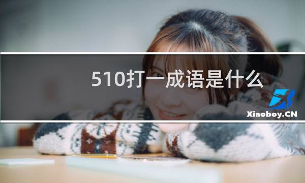 510打一成语是什么