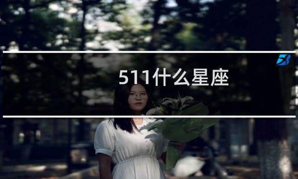 511什么星座