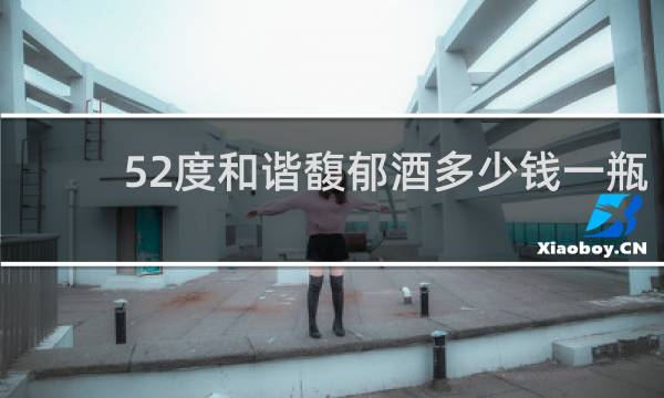 52度和谐馥郁酒多少钱一瓶