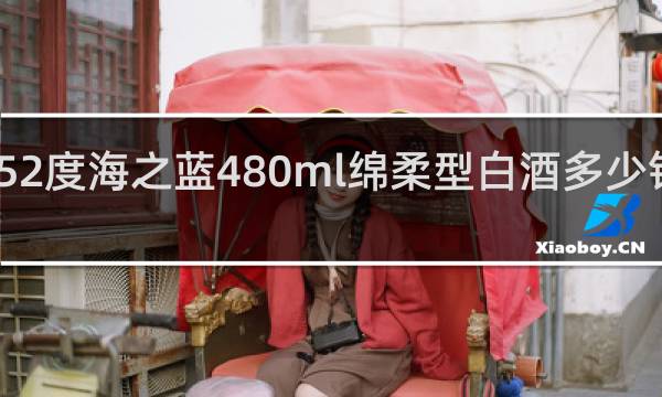52度海之蓝480ml绵柔型白酒多少钱一箱