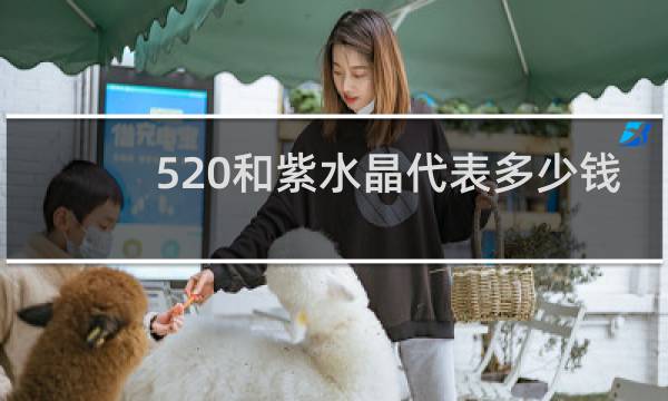 520和紫水晶代表多少钱