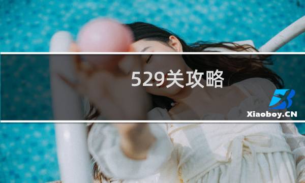 529关攻略