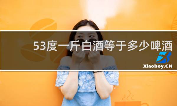 53度一斤白酒等于多少啤酒