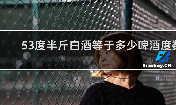 53度半斤白酒等于多少啤酒度数