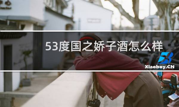 53度国之娇子酒怎么样