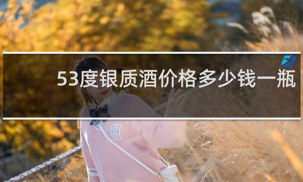 53度银质酒价格多少钱一瓶