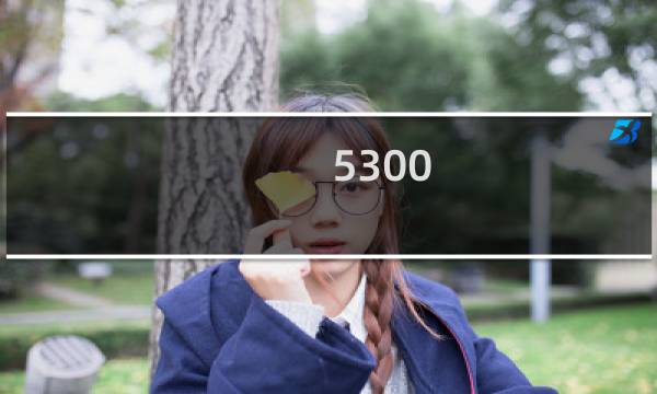 5300 弹幕5300什么梗
