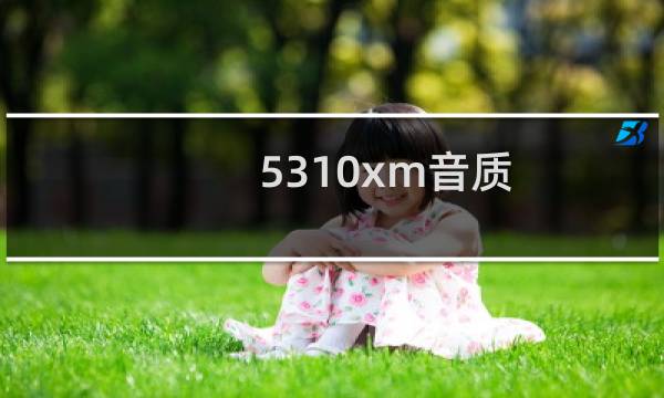 5310xm音质(5310xm)