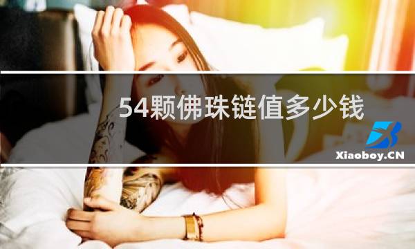 54颗佛珠链值多少钱