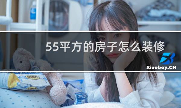 55平方的房子怎么装修图片