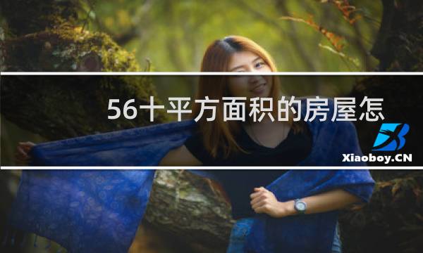 56十平方面积的房屋怎么装修图片