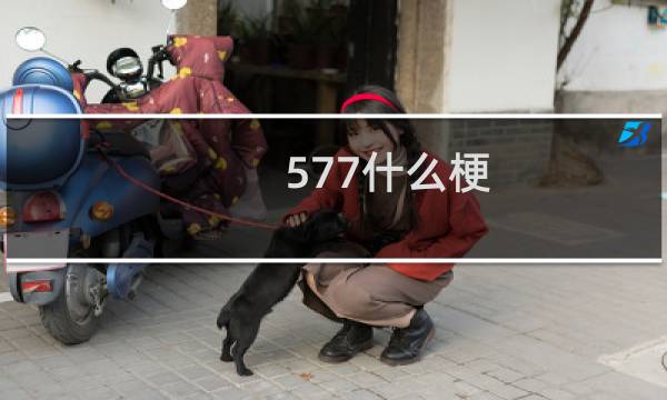 577什么梗？什么梗