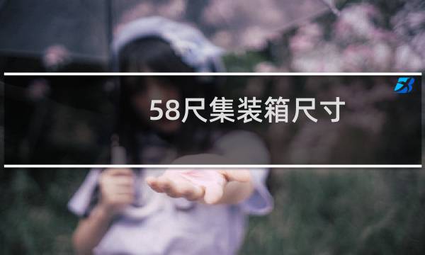 58尺集装箱尺寸