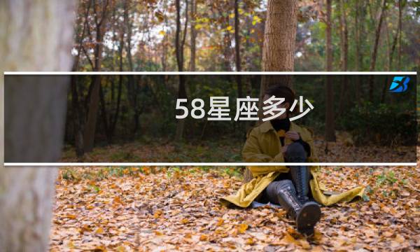 58星座多少