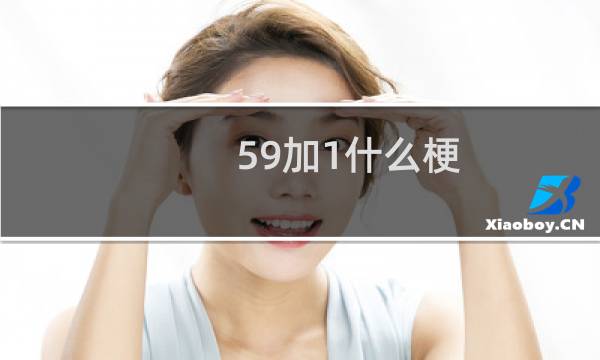 59加1什么梗