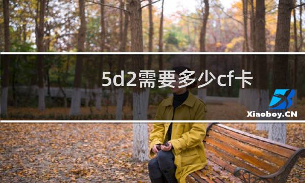 5d2需要多少cf卡