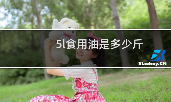 5l食用油是多少斤