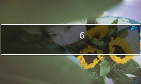 6.1什么星座