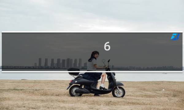 6.2狼牙价格
