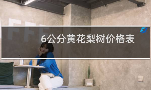 6公分黄花梨树价格表
