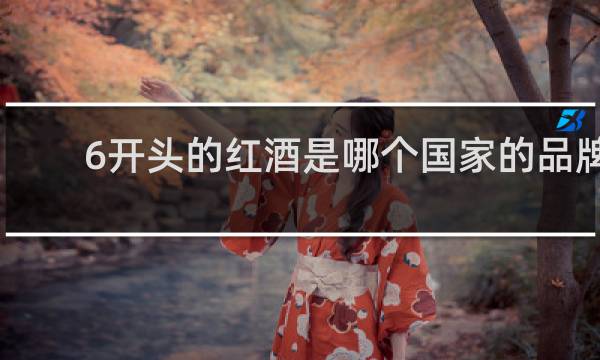 6开头的红酒是哪个国家的品牌