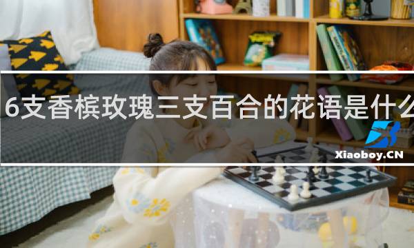 6支香槟玫瑰三支百合的花语是什么意思