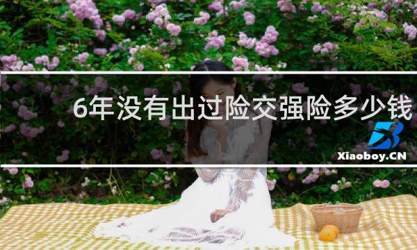 6年没有出过险交强险多少钱图片