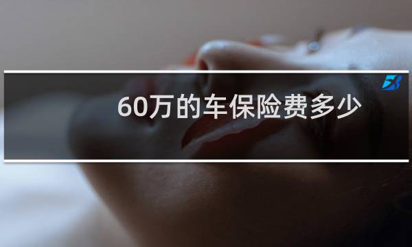 60万的车保险费多少