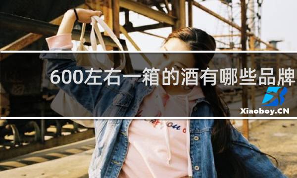 600左右一箱的酒有哪些品牌