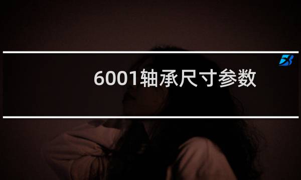 6001轴承尺寸参数