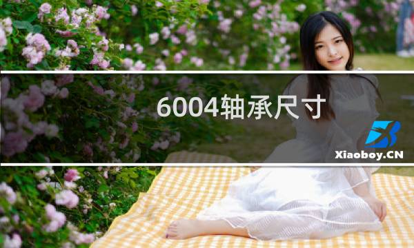 6004轴承尺寸