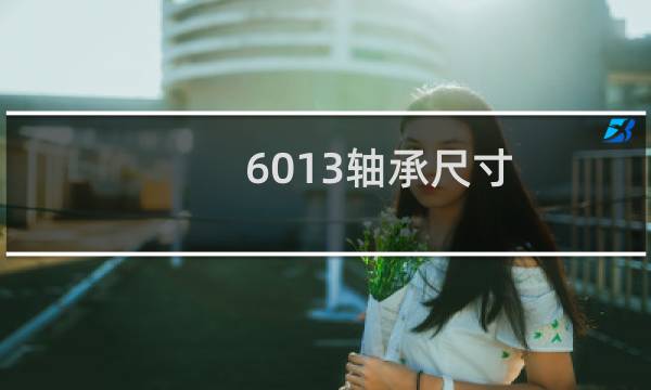 6013轴承尺寸