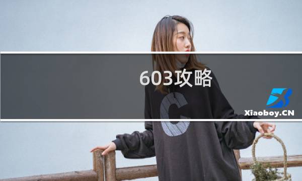 603攻略