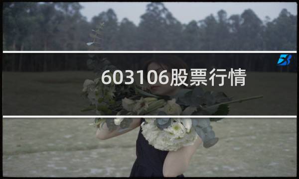 603106股票行情