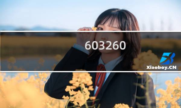 603260 股票