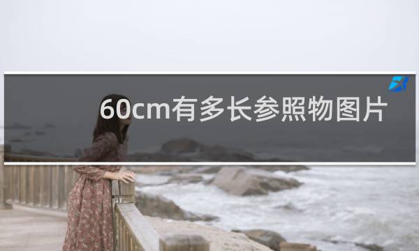 60cm有多长参照物图片